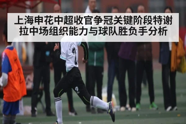 上海申花中超收官争冠关键阶段特谢拉中场组织能力与球队胜负手分析
